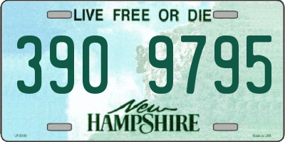 NH license plate 3909795