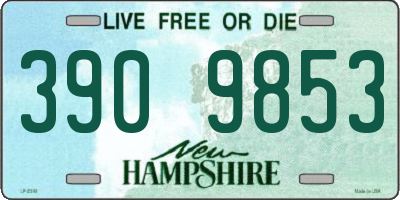 NH license plate 3909853