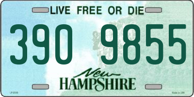 NH license plate 3909855