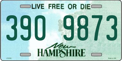 NH license plate 3909873