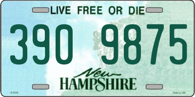 NH license plate 3909875