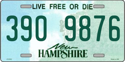 NH license plate 3909876