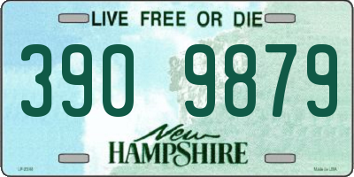 NH license plate 3909879