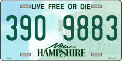 NH license plate 3909883