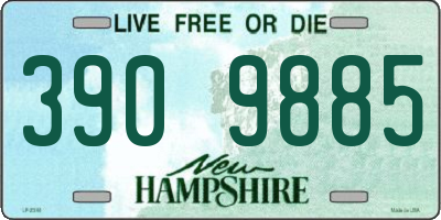 NH license plate 3909885