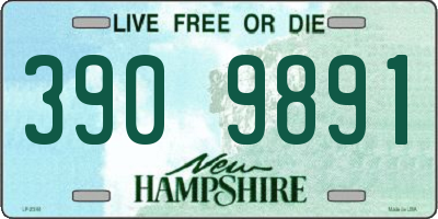NH license plate 3909891