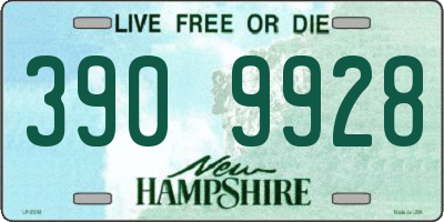 NH license plate 3909928