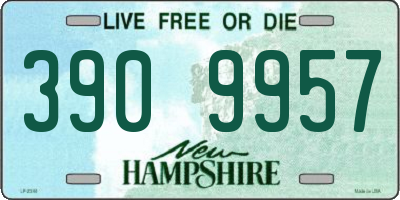 NH license plate 3909957