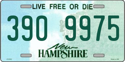 NH license plate 3909975