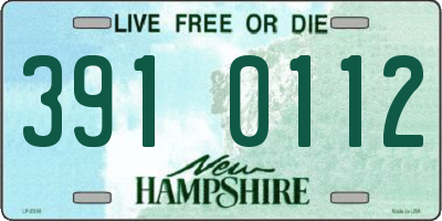 NH license plate 3910112