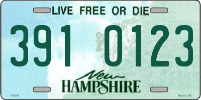 NH license plate 3910123