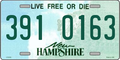 NH license plate 3910163