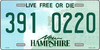 NH license plate 3910220