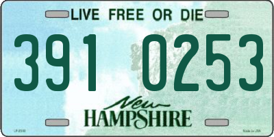 NH license plate 3910253