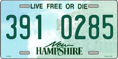 NH license plate 3910285