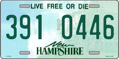 NH license plate 3910446