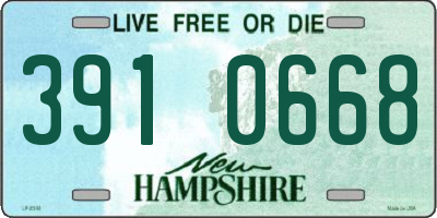 NH license plate 3910668