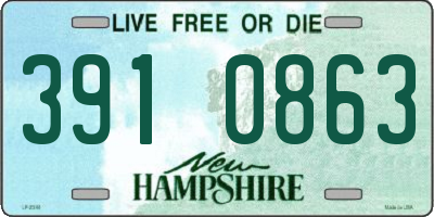 NH license plate 3910863