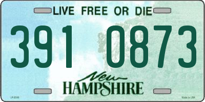 NH license plate 3910873
