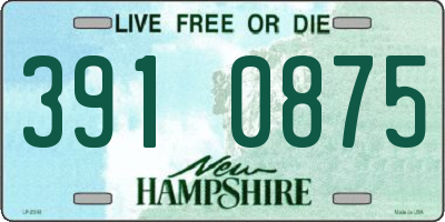 NH license plate 3910875