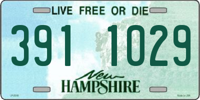 NH license plate 3911029