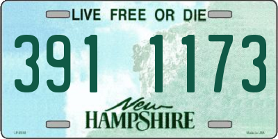 NH license plate 3911173