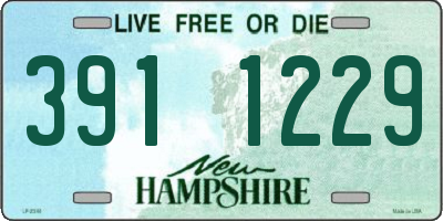NH license plate 3911229