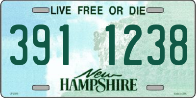 NH license plate 3911238