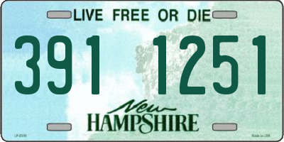NH license plate 3911251