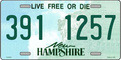 NH license plate 3911257