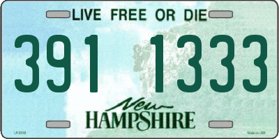 NH license plate 3911333