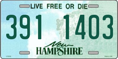 NH license plate 3911403