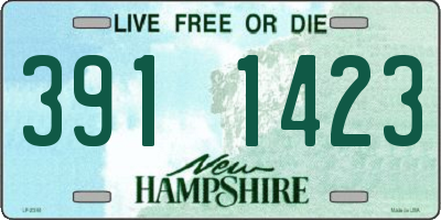 NH license plate 3911423