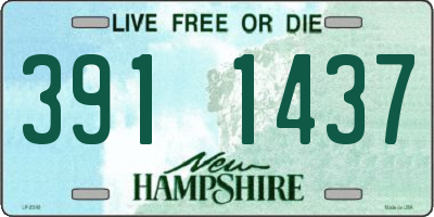 NH license plate 3911437