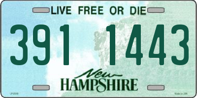 NH license plate 3911443