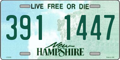 NH license plate 3911447