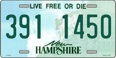 NH license plate 3911450