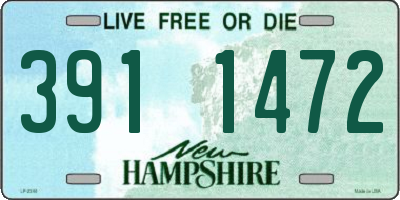 NH license plate 3911472