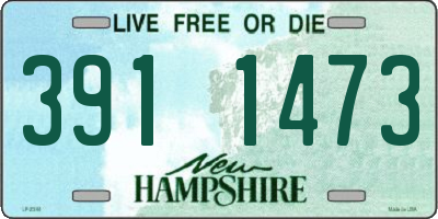 NH license plate 3911473