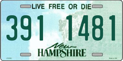 NH license plate 3911481