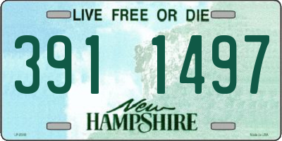 NH license plate 3911497