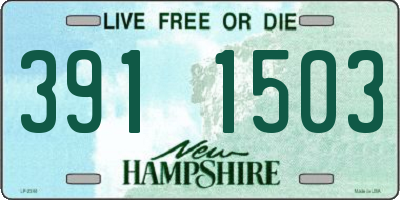 NH license plate 3911503