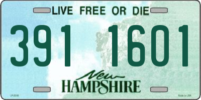 NH license plate 3911601