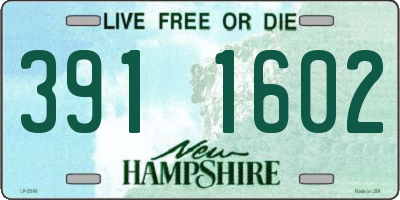 NH license plate 3911602