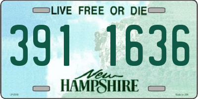 NH license plate 3911636