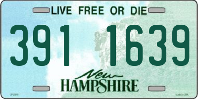 NH license plate 3911639