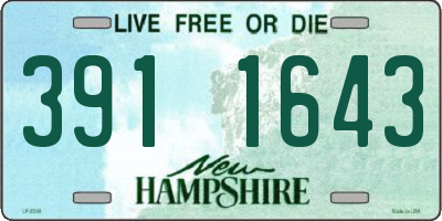 NH license plate 3911643