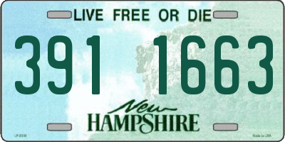 NH license plate 3911663