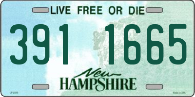 NH license plate 3911665