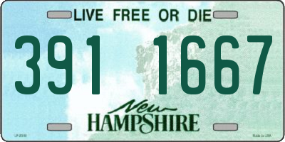 NH license plate 3911667